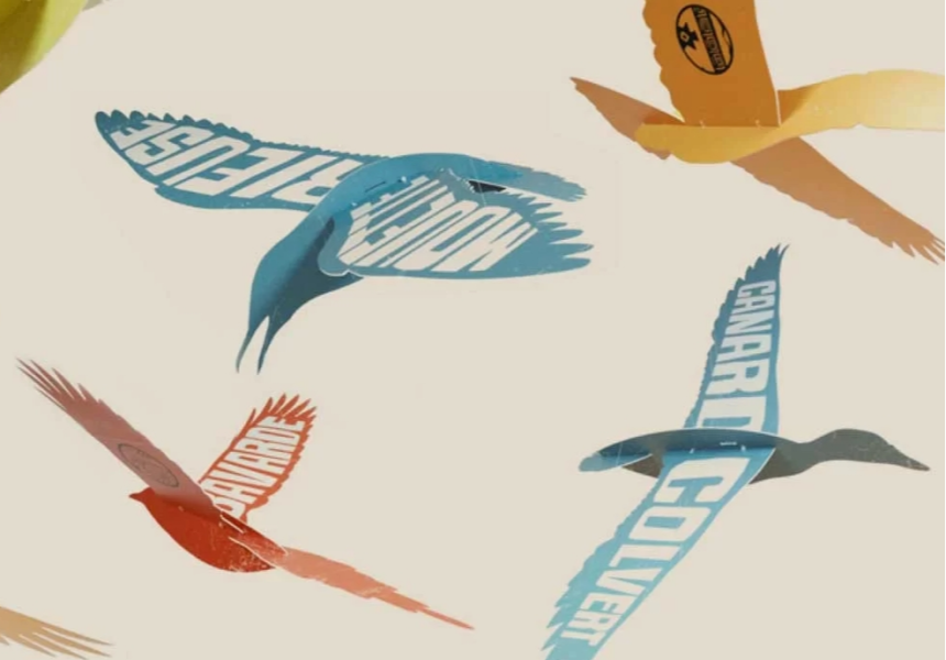 plumes et cie