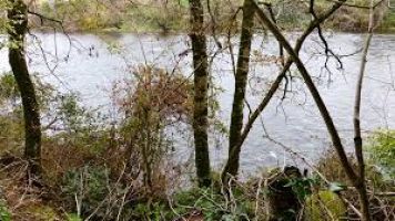 Travaux d'entretien sur la rivière