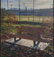 Du nouveau au Parc du Château