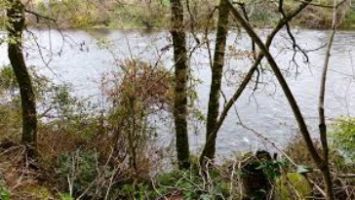 Travaux d'entretien sur la rivière