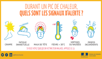 Fortes chaleurs et canicule : les bons réflexes avant, pendant et après
