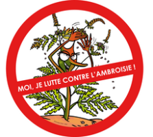Alerte Ambroisie - Plante invasive dangereuse pour la santé !