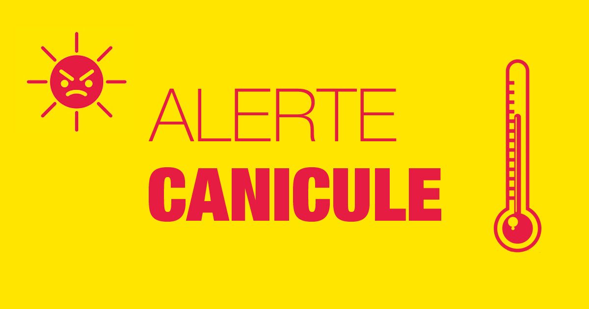 canicule